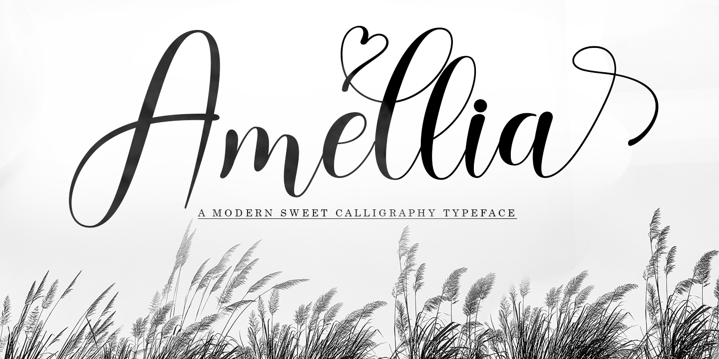 Пример шрифта Amellia Script